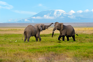 Serengeti National Park