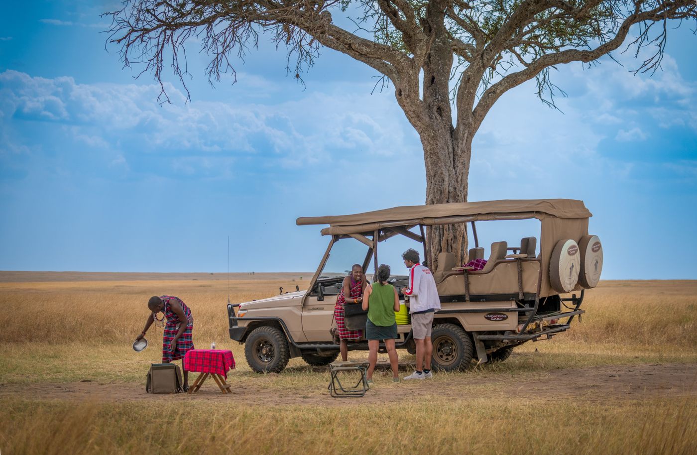 Group safari near acacia tree budget adventure