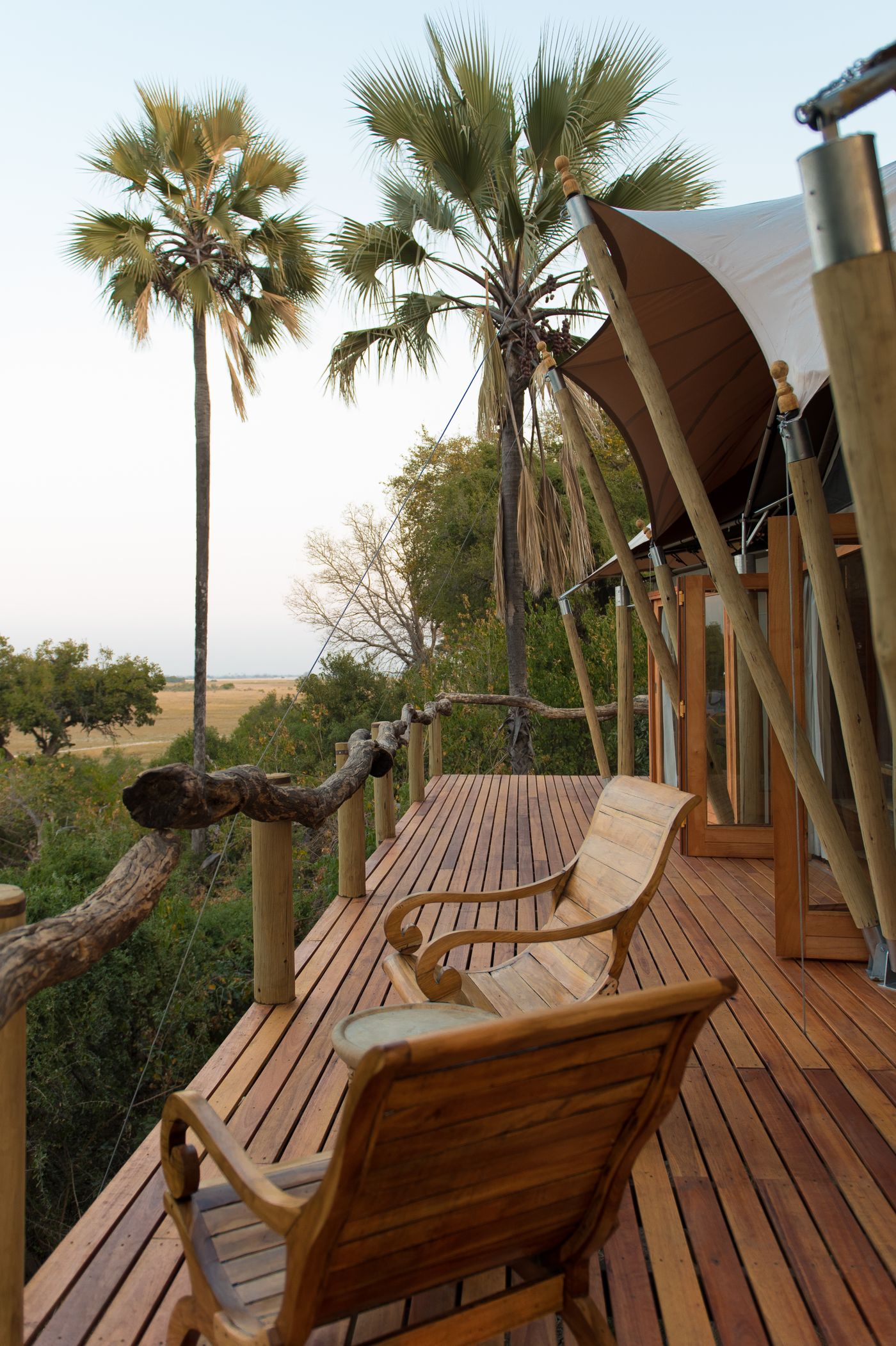 Safari lodge deck with palm trees and wooden chairs