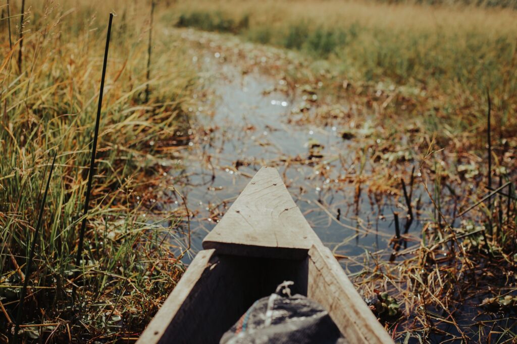 Wooden canoe journeying through serene marshland grasses — Okavango Delta style