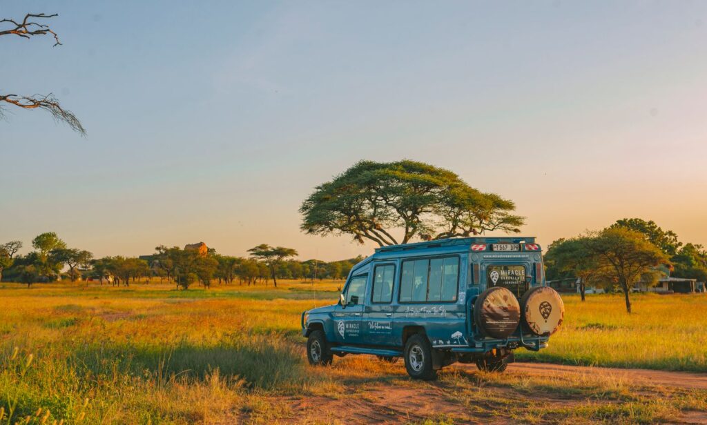 Safari jeep on savannah at sunset