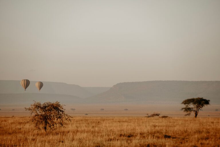 Wildlife on the Serengeti plains, Tanzania