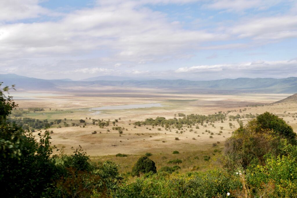 Panoramic view of Ngorongoro Crater savannah