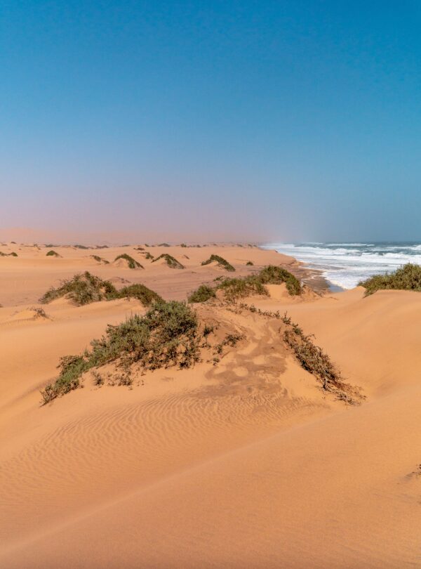 Sand dunes meeting the Atlantic Ocean in Namibia