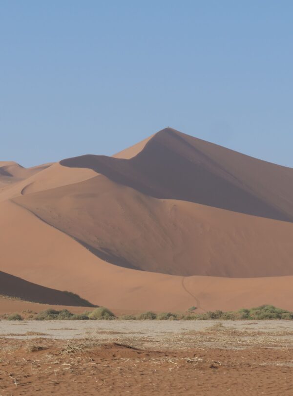 Orange sand dunes under blue sky in Namib Desert