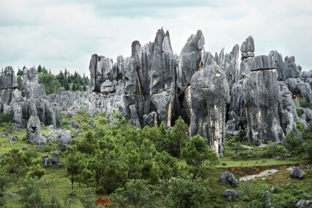 Dramatic limestone karst formations in stone forest