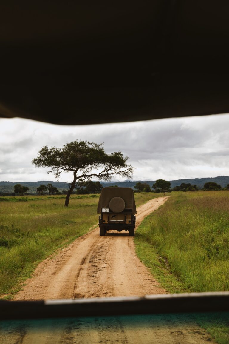 9-Day Wilderness Safari | Southern Tanzania Remote Bush