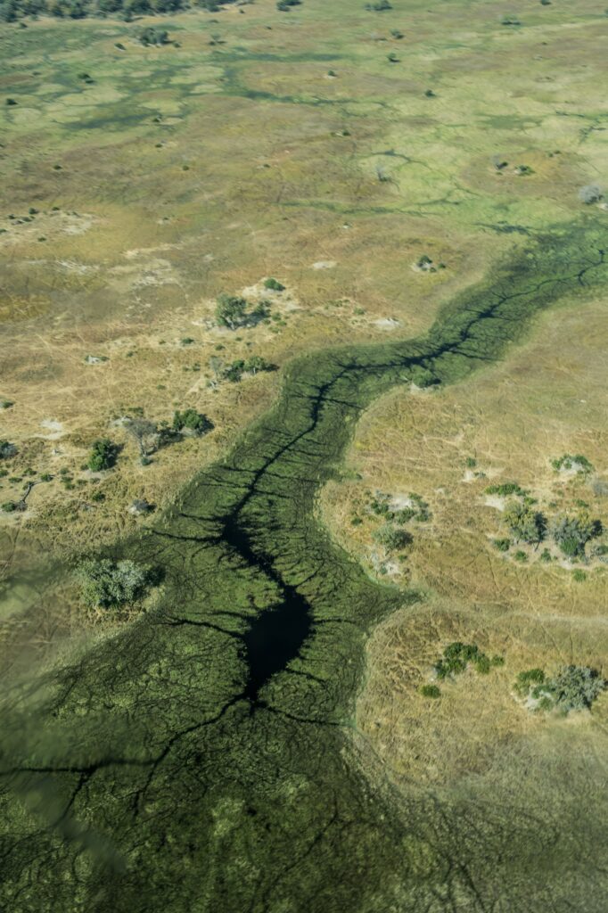 Aerial view of winding water channels through African grassland wetlands