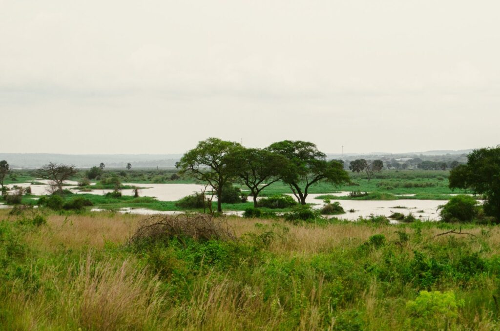 River view in Murchison Falls National Park, Uganda