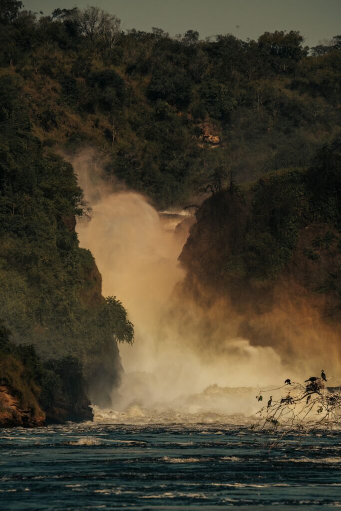Powerful waterfall through forest — Murchison Falls style