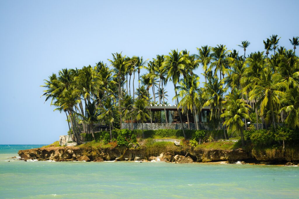 Palm-lined tropical coast under clear blue sky
